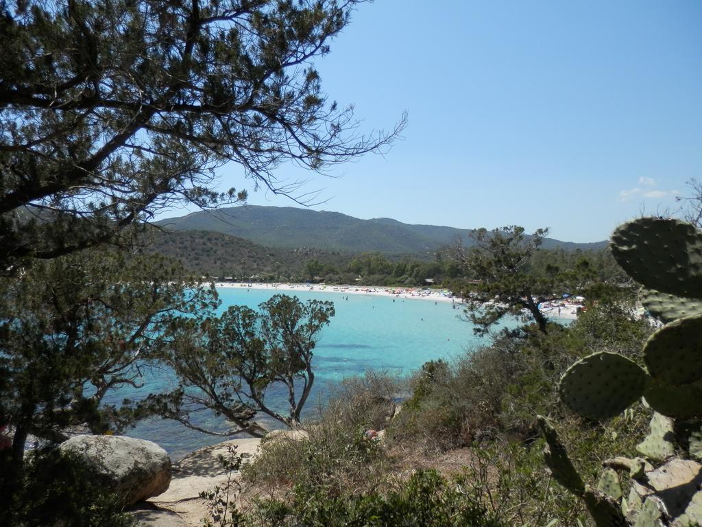 Appartamento Maremontagna คาร์เตดู ภายนอก รูปภาพ